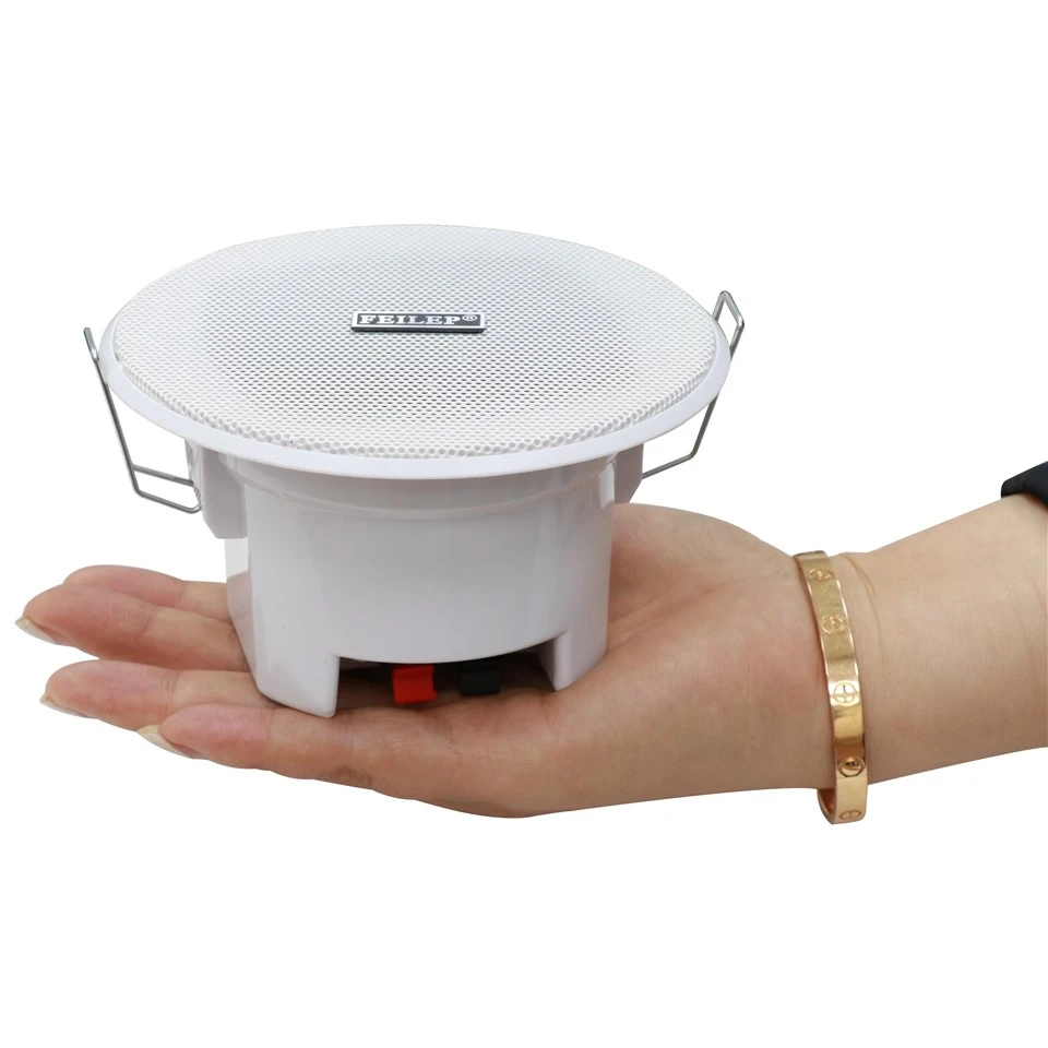 Embedded Ceiling MINI Hotel Speaker